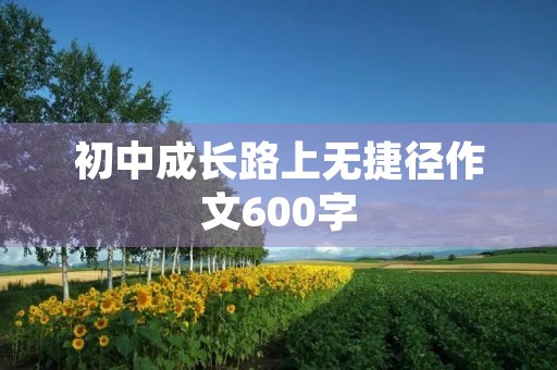 初中成长路上无捷径作文600字 初中成长路上无捷径作文600字