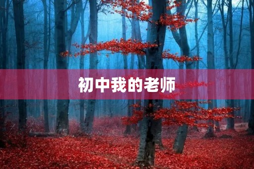 初中我的老师