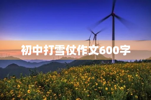 初中打雪仗作文600字 初中打雪仗作文600字