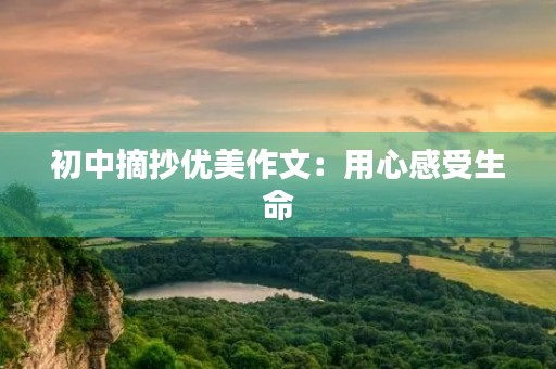 初中摘抄优美作文：用心感受生命
