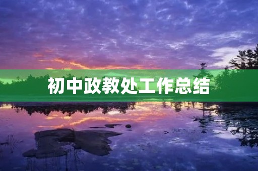 初中政教处工作总结