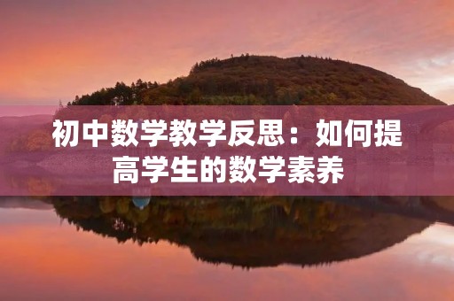 初中数学教学反思：如何提高学生的数学素养