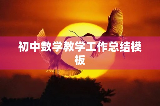初中数学教学工作总结模板