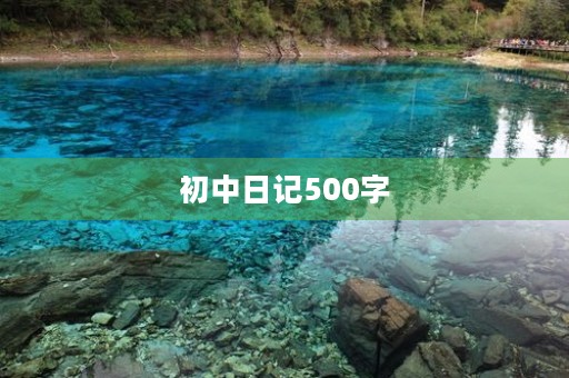 初中日记500字
