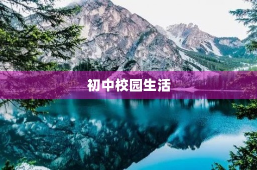初中校园生活