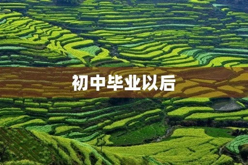 初中毕业以后，我要做什么？