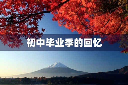 初中毕业季的回忆