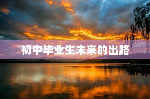 初中毕业生未来的出路 初中毕业生未来的出路