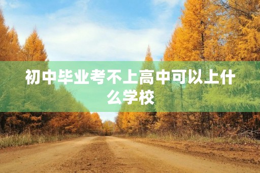 初中毕业考不上高中可以上什么学校