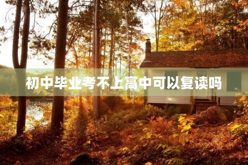 初中毕业考不上高中可以复读吗