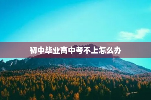 初中毕业高中考不上怎么办
