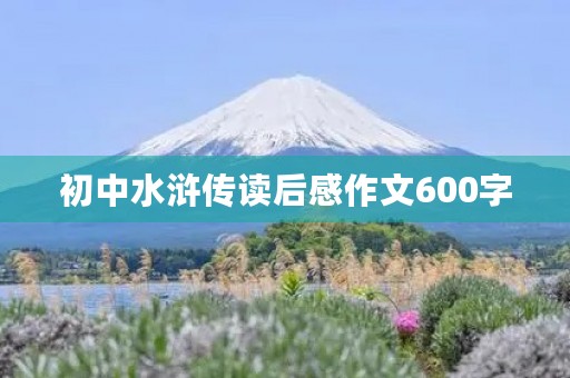 初中水浒传读后感作文600字 初中水浒传读后感作文600字