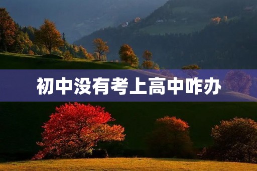 初中没有考上高中咋办