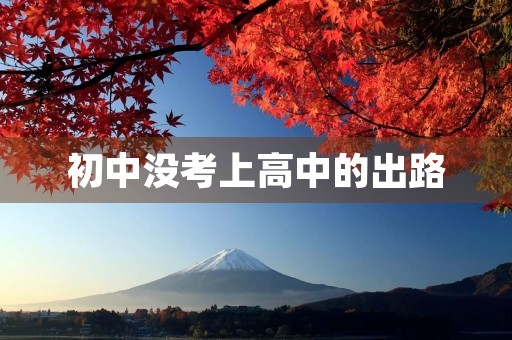 初中没考上高中的出路