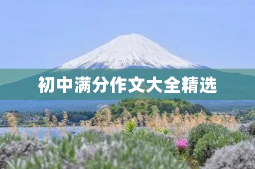 初中满分作文大全精选