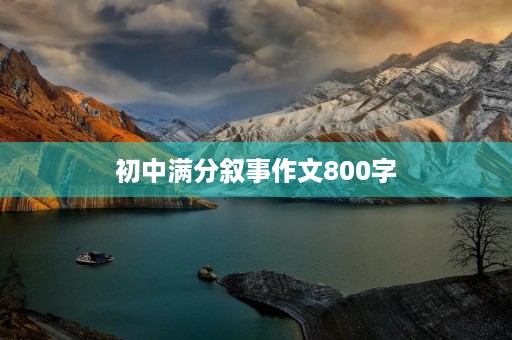 初中满分叙事作文800字