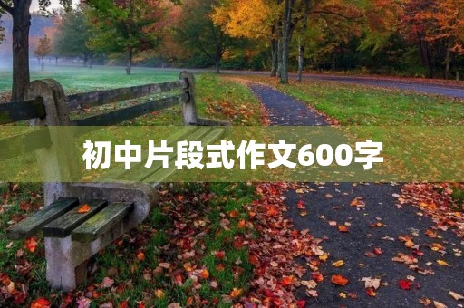 初中片段式作文600字 初中片段式作文600字