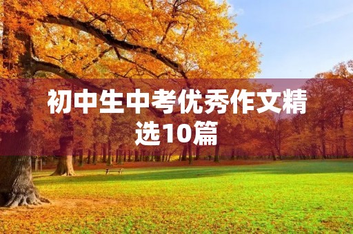 初中生中考优秀作文精选10篇 初中生中考优秀作文精选10篇