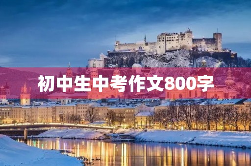 初中生中考作文800字