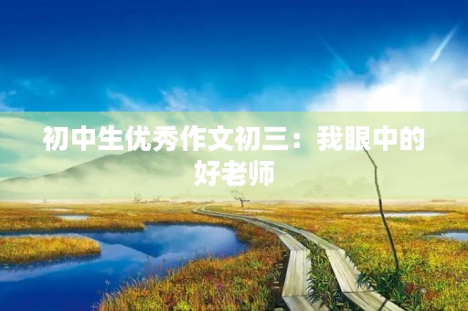 初中生优秀作文初三:我眼中的好老师 初中生优秀作文初三:我眼中的好老师