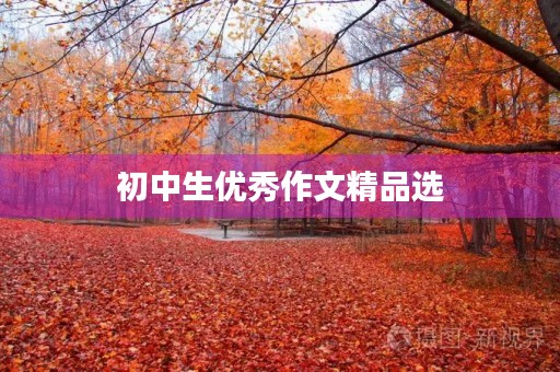 初中生优秀作文精品选 初中生优秀作文精品选