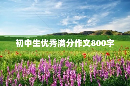 初中生优秀满分作文800字