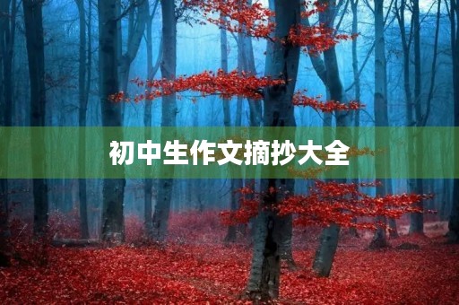 初中生作文摘抄大全 初中生作文摘抄大全