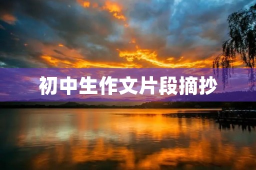 初中生作文片段摘抄