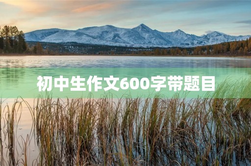 初中生作文600字带题目