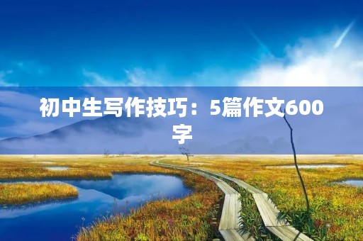 初中生写作技巧:5篇作文600字,让你的文章更出色 初中生写作技巧:5篇作文600字,让你的文章更出色