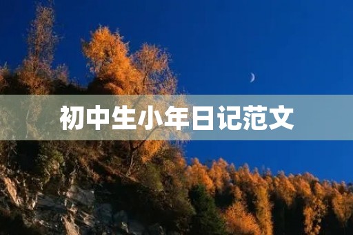 初中生小年日记范文 初中生小年日记范文