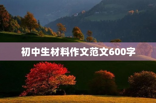 初中生材料作文范文600字