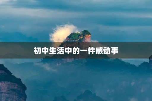 初中生活中的一件感动事