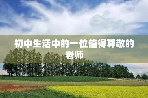初中生活中的一位值得尊敬的老师 初中生活中的一位值得尊敬的老师