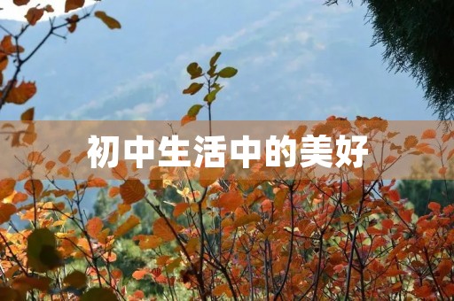 初中生活中的美好