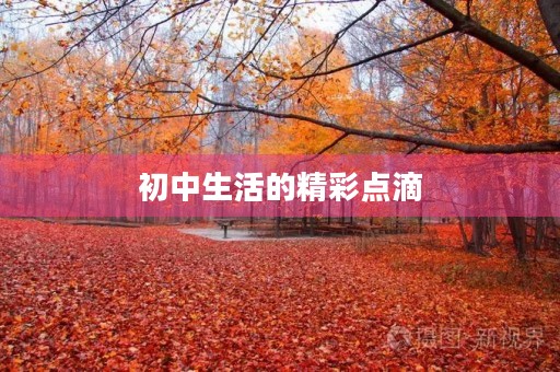 初中生活的精彩点滴
