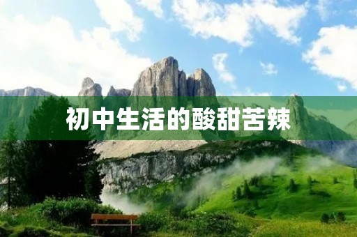初中生活的酸甜苦辣 初中生活的酸甜苦辣