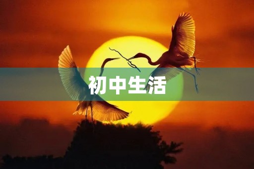 初中生活,回忆无穷 初中生活,回忆无穷