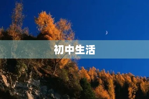 初中生活 初中生活
