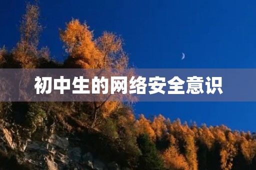 初中生的网络安全意识 初中生的网络安全意识