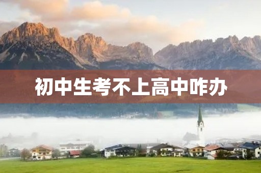 初中生考不上高中咋办 初中生考不上高中咋办