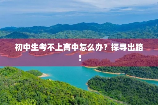 初中生考不上高中怎么办?探寻出路! 初中生考不上高中怎么办?探寻出路!