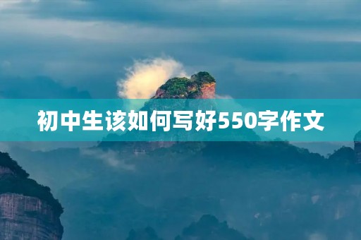 初中生该如何写好550字作文