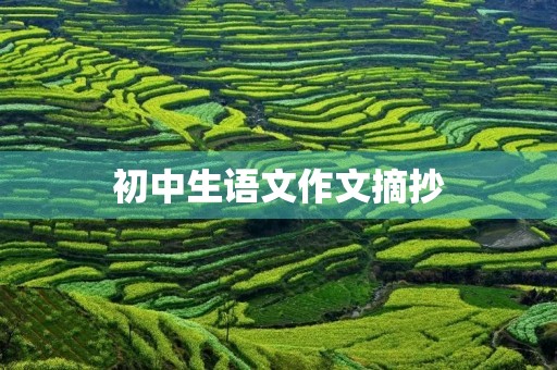 初中生语文作文摘抄 初中生语文作文摘抄