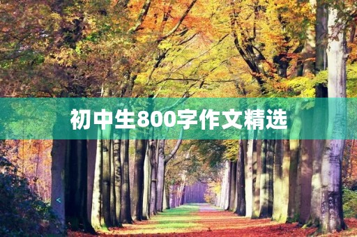 初中生800字作文精选 初中生800字作文精选