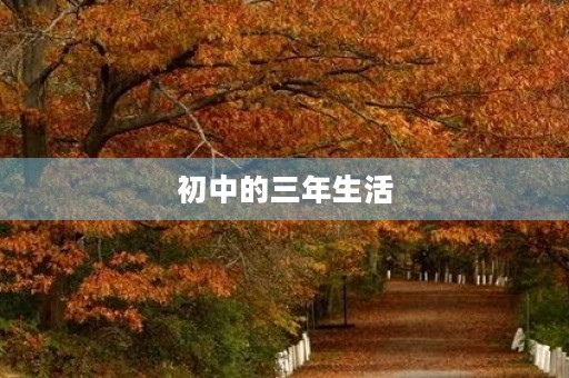 初中的三年生活