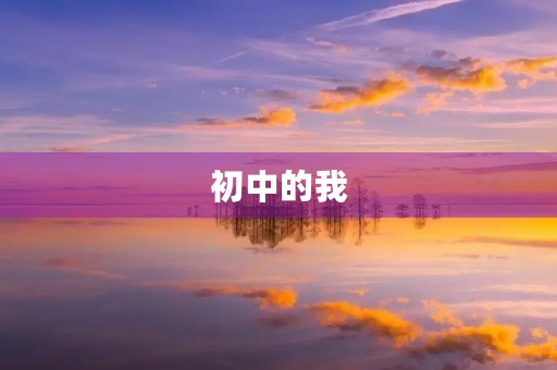 初中的我 初中的我
