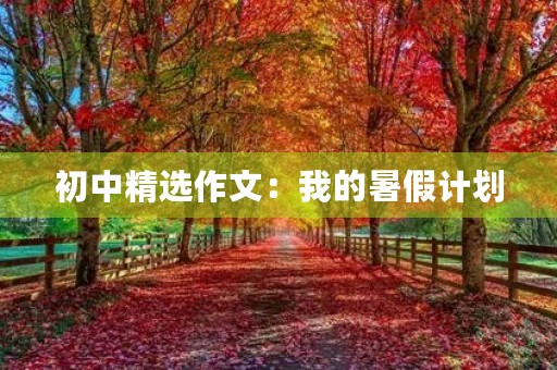 初中精选作文：我的暑假计划