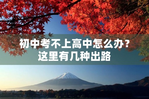 初中考不上高中怎么办？这里有几种出路