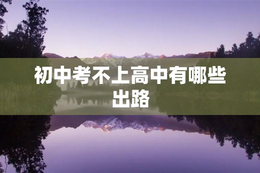 初中考不上高中有哪些出路